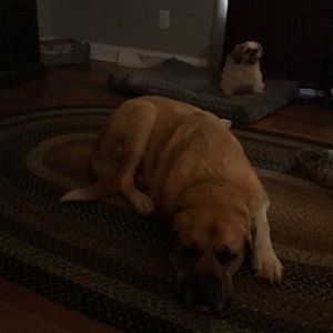 Meet your Posher, Pam